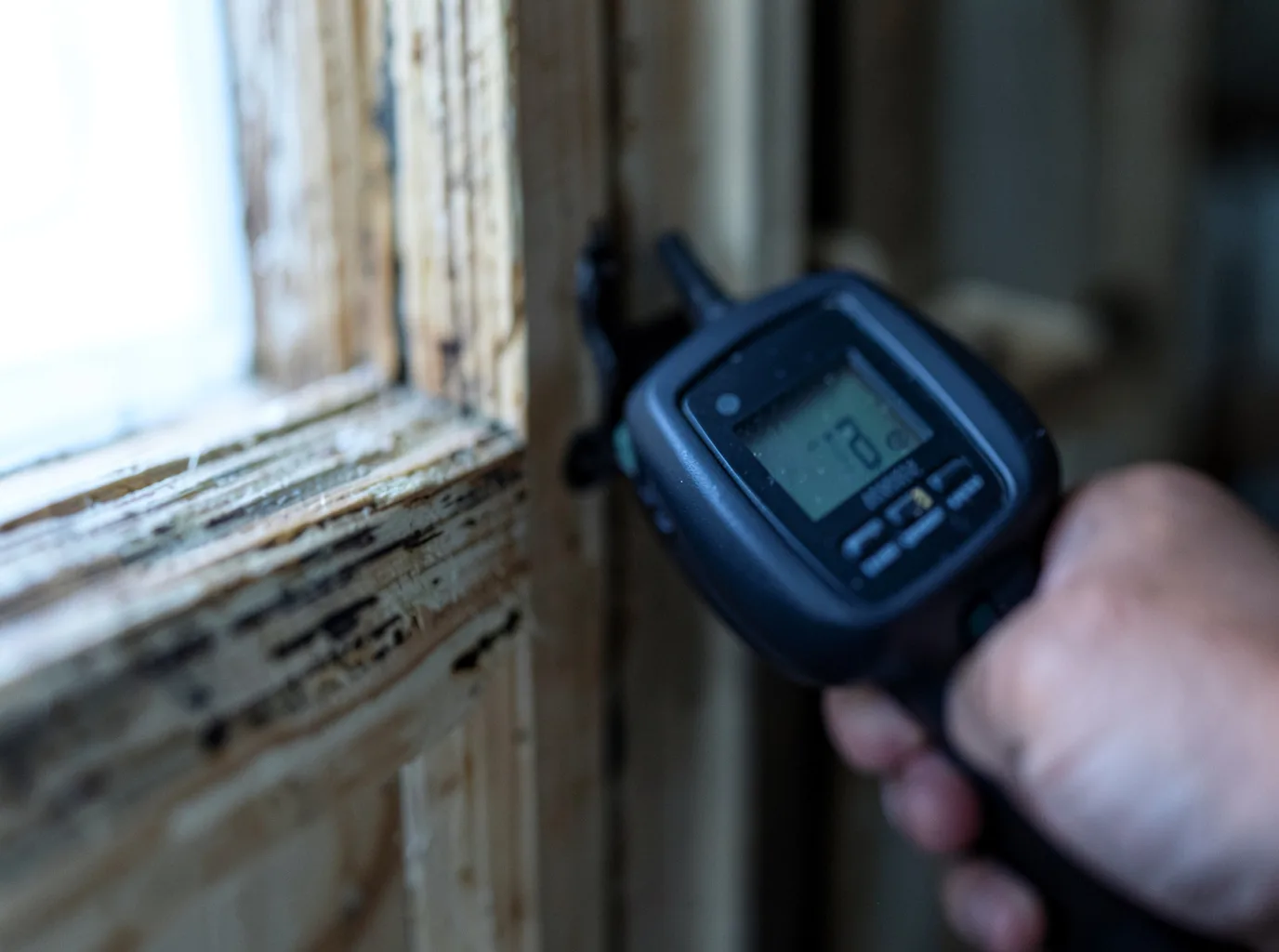 Moisture Inspection And Documentation in Pelahatchie, MS